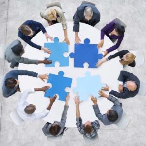 COLLABORATIVE MANAGEMENT